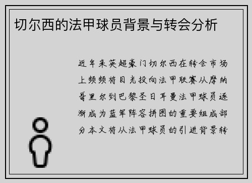 切尔西的法甲球员背景与转会分析