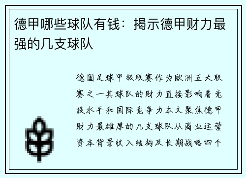 德甲哪些球队有钱：揭示德甲财力最强的几支球队